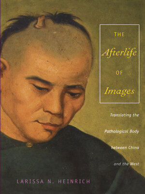 cover image of The Afterlife of Images
